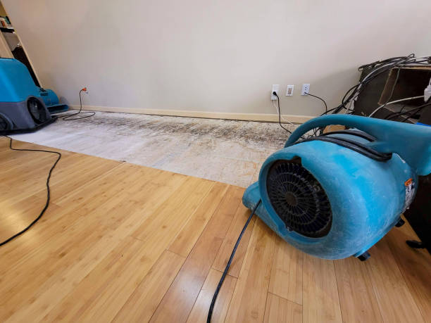 Professional Structural Drying technician working in West Point, NY